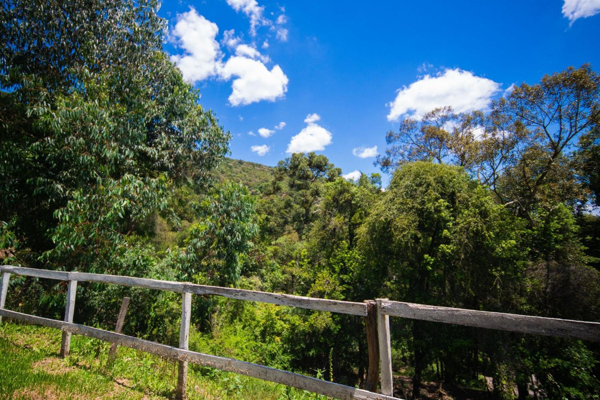 Pousada Natureza Da Terra Hotell Monte Verde  Eksteriør bilde